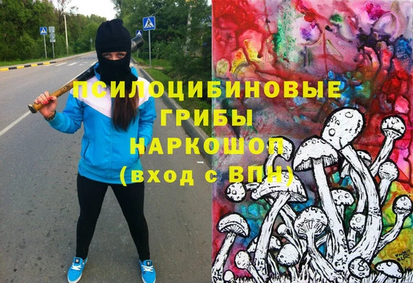 PSILOCYBIN Богородск