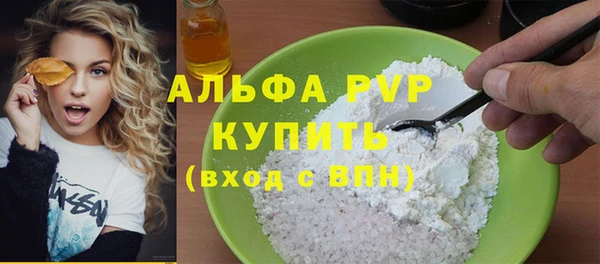 хмурый Белокуриха